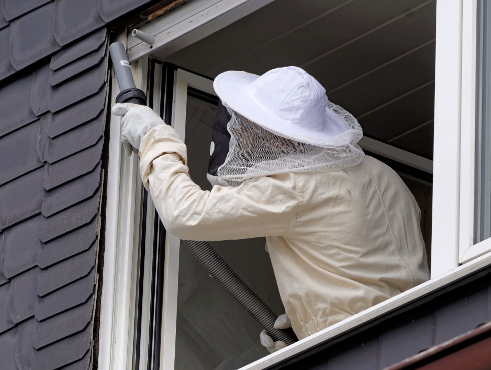 Schädlingsbekämpfung mit System foto